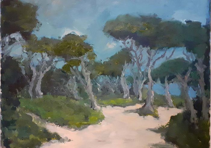 Pinienwald - Steffen Wriecz